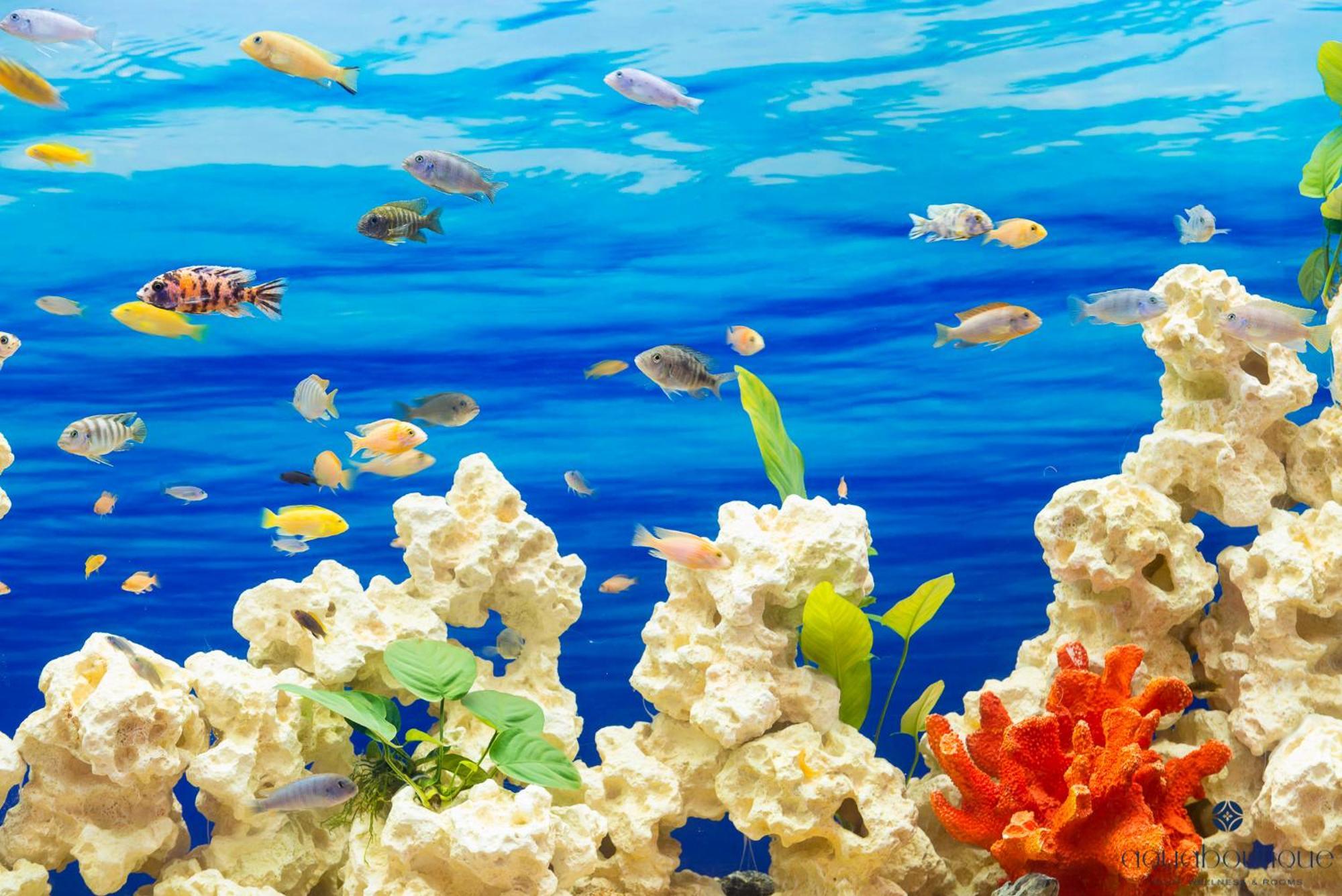 Aquaboutique Wellness&Spa Vietri Dış mekan fotoğraf